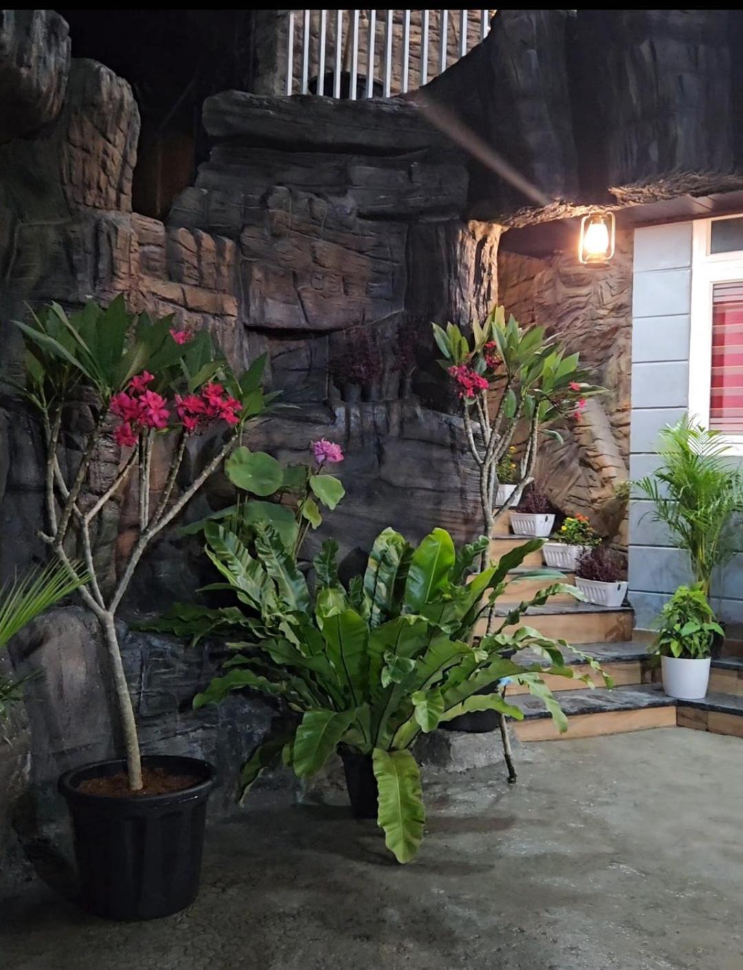 S & B Dreams House Apartment Munnar Ngoại thất bức ảnh